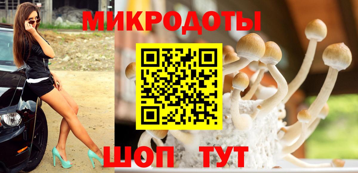 Миллерово  Псилоцибиновые грибы ЛСД  Псилоцибиновые грибы GOLDEN TEACHER  Вход с VPN 